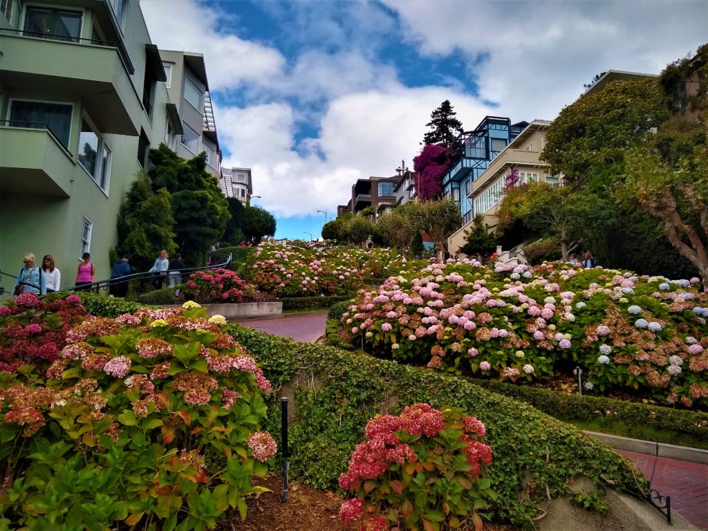 Lombardo Street