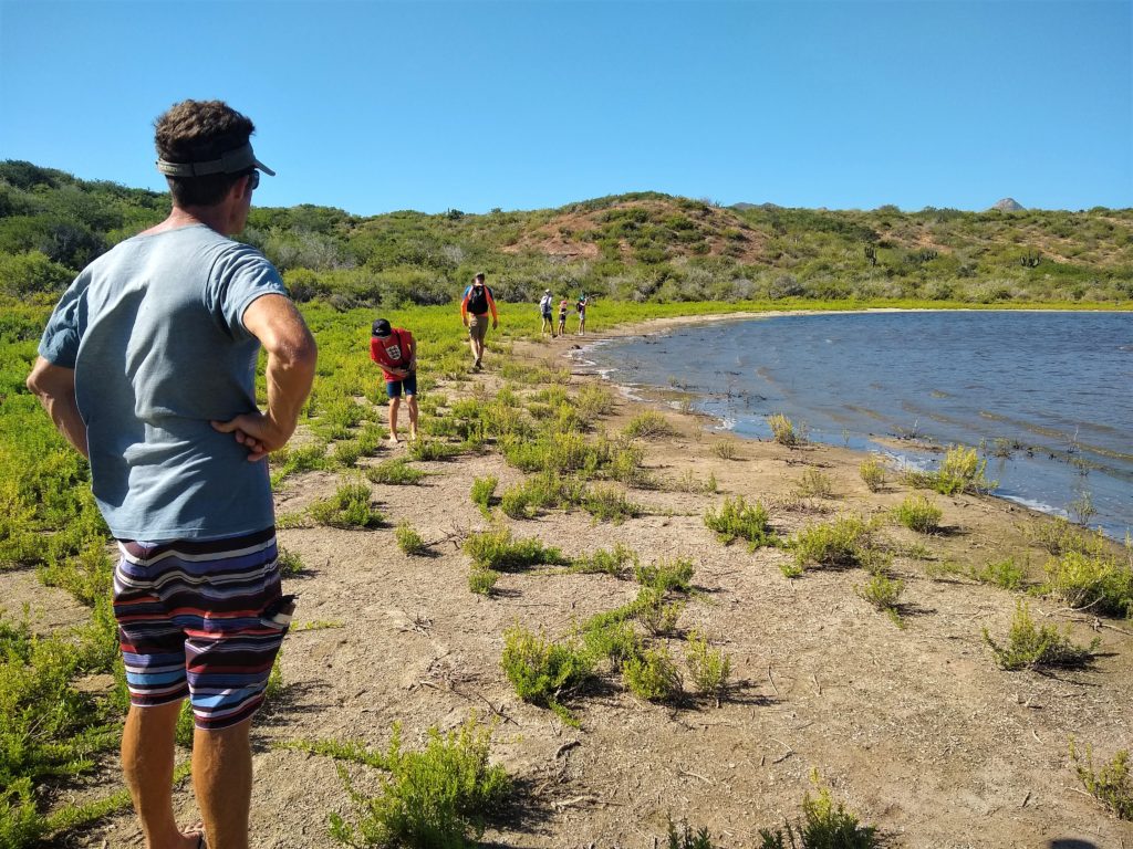 Bird watching in lagoon in Los Frailes