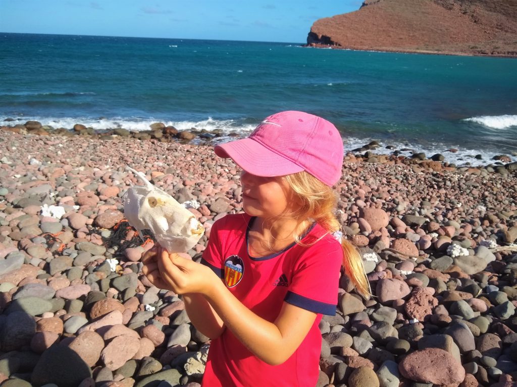 Julia found a puffer fish skeleton