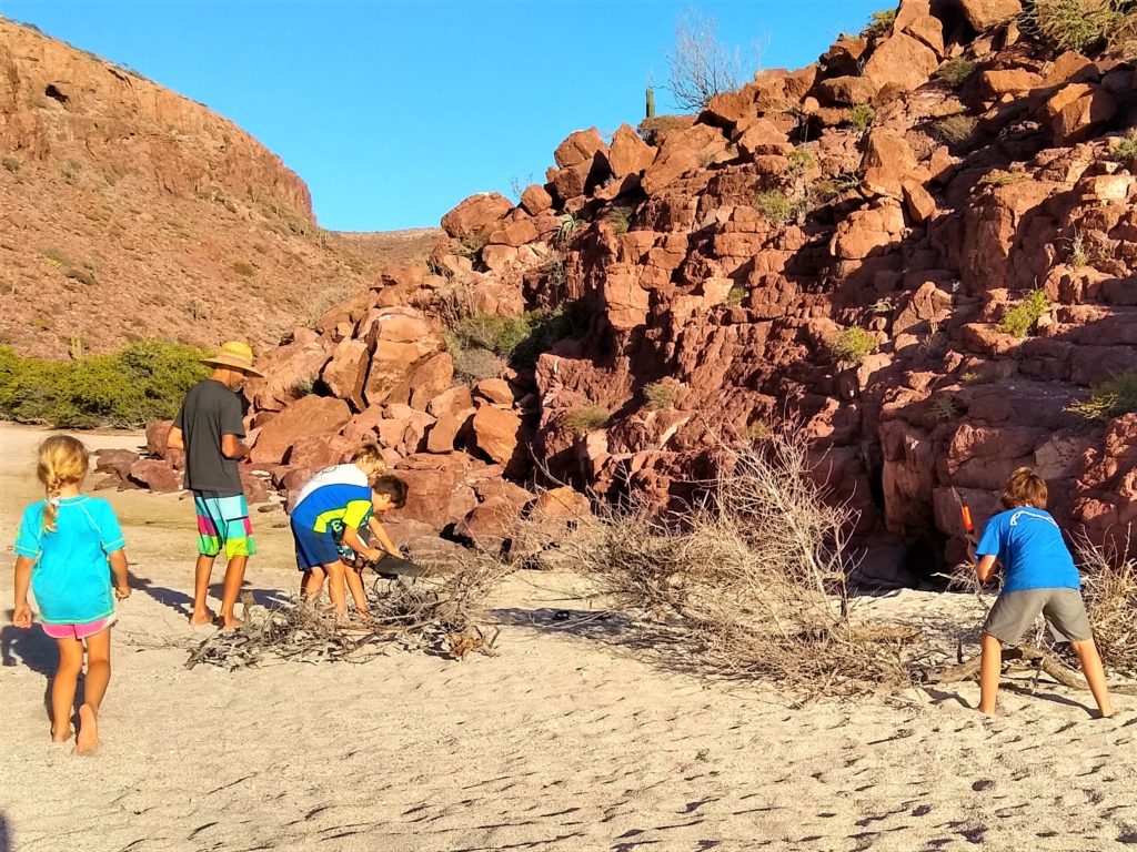 Gathering and cutting firewood for evening beach fire