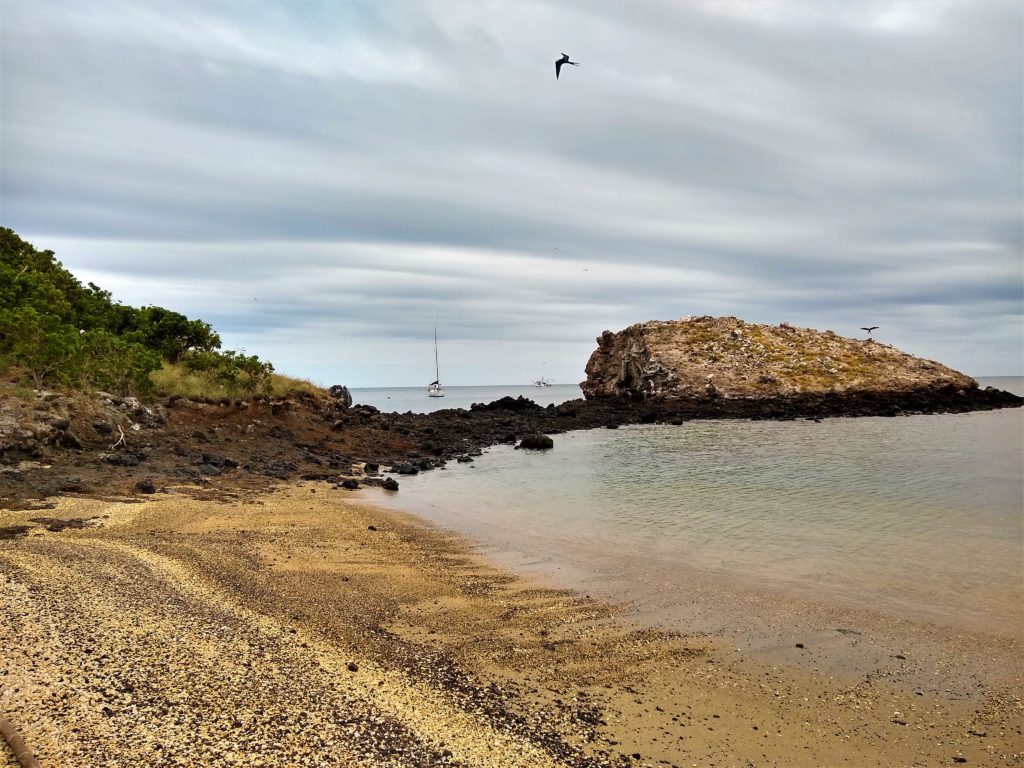 Slingshot at anchorage at Isla Isabela