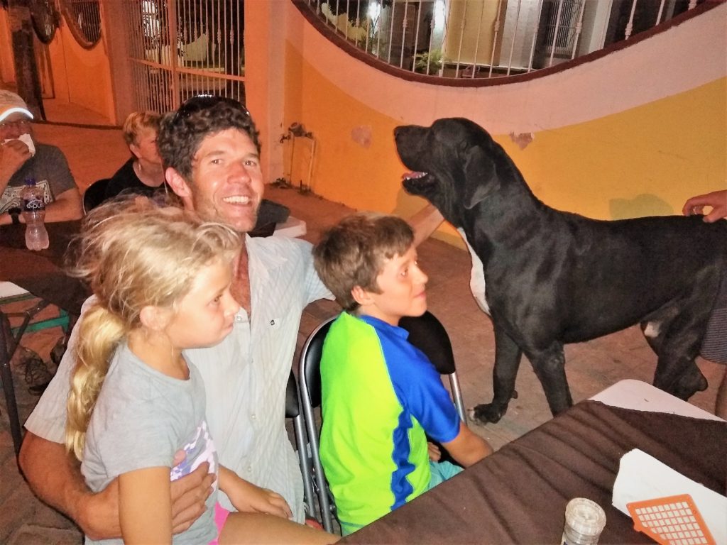 'Bruno' the friendly Great Dane that wandered the streets of a Cruz. Gavin wanted to adopt him on board Slingshot!