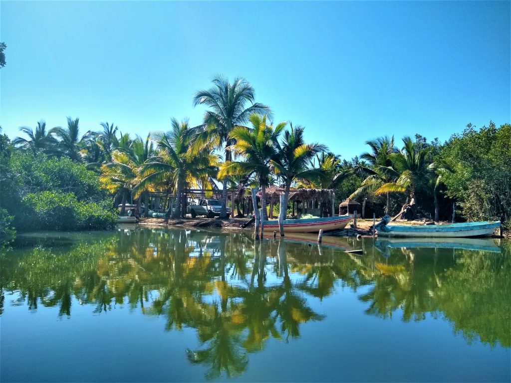 Lagoon in Tenacatita after our 1.5 hour dinghy ride hunting for crocodiles