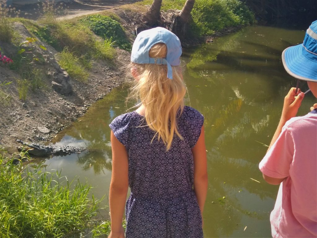 Crocodile on the bank in La Manzanilla - before we even entered the crocodile sanctuary!