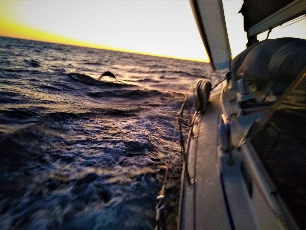 Sailing into the sunset - our first evening at sea
