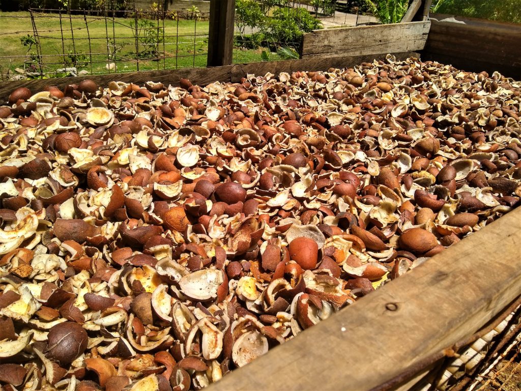 Copra - an export from the Marquesas and Tuamotus - the drying coconut produces coconut oil used for many products