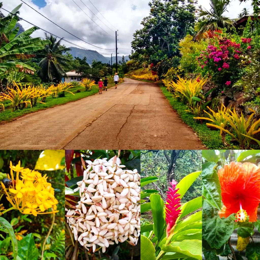 The flowers of the Marquesas are stunning.