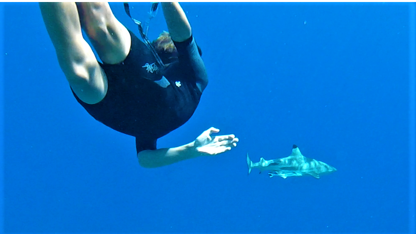 Here is Nathan chasing a blacktip shark in Fakarava.