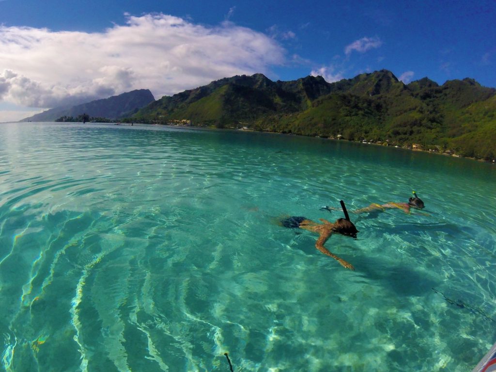 Stingray City at Moorea.