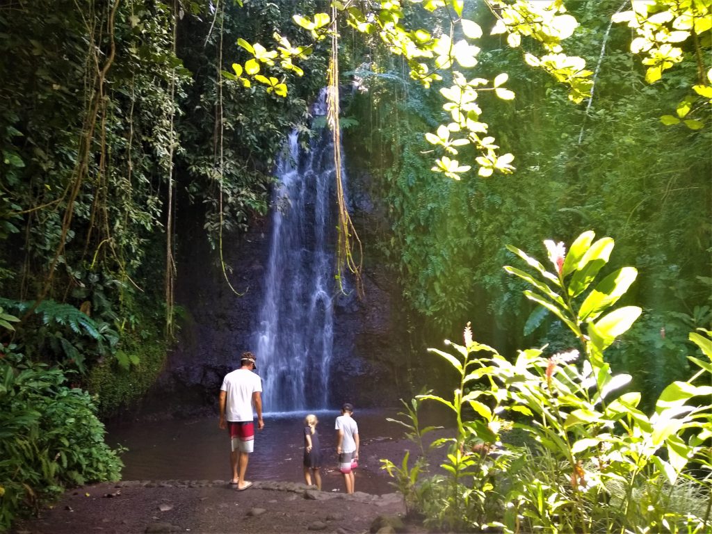 Another Waterfall.  Nathan spots an eel!