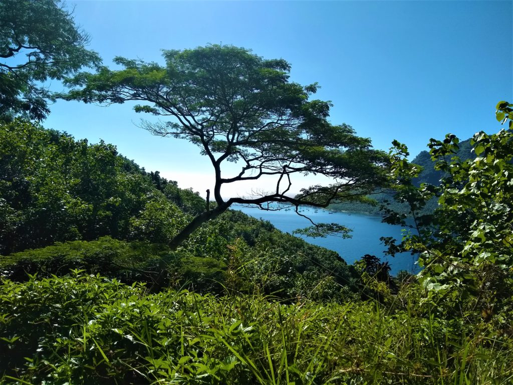 Magig Mountain view.