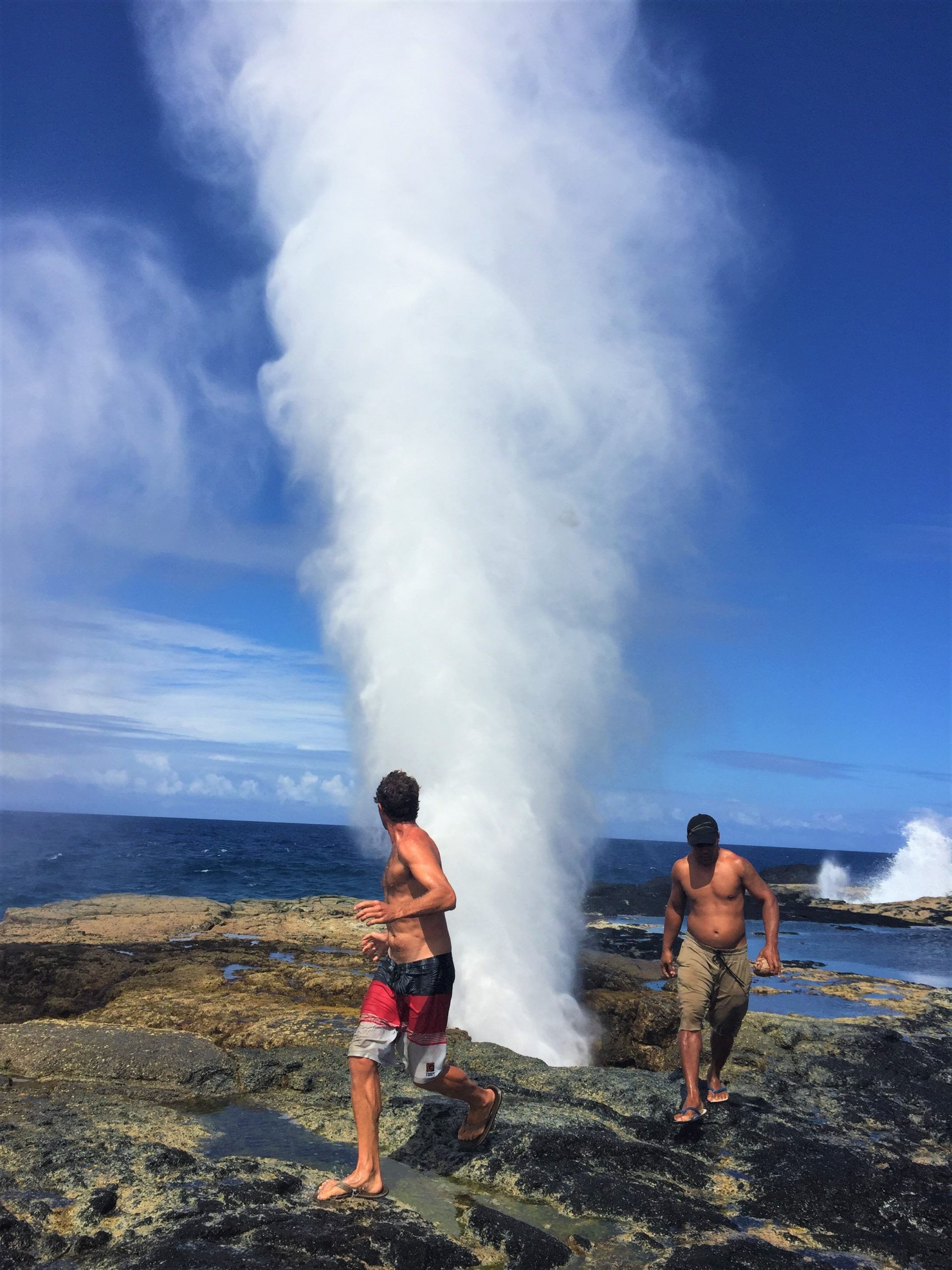 Run! Those blowholes are loud and wet!