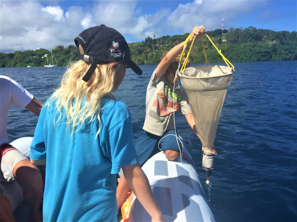 Marine Biologist cruising friendsgave us an afternoon plankton lesson. Wow!