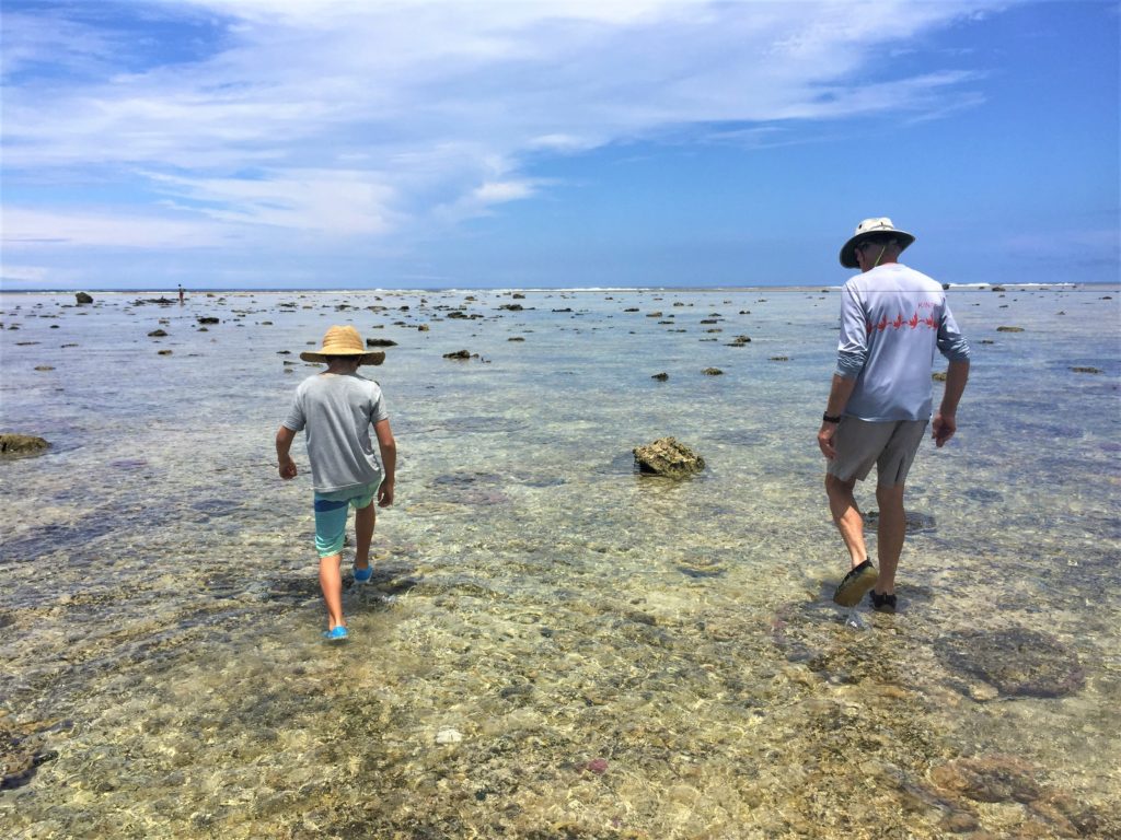 Watch out for cone snails!