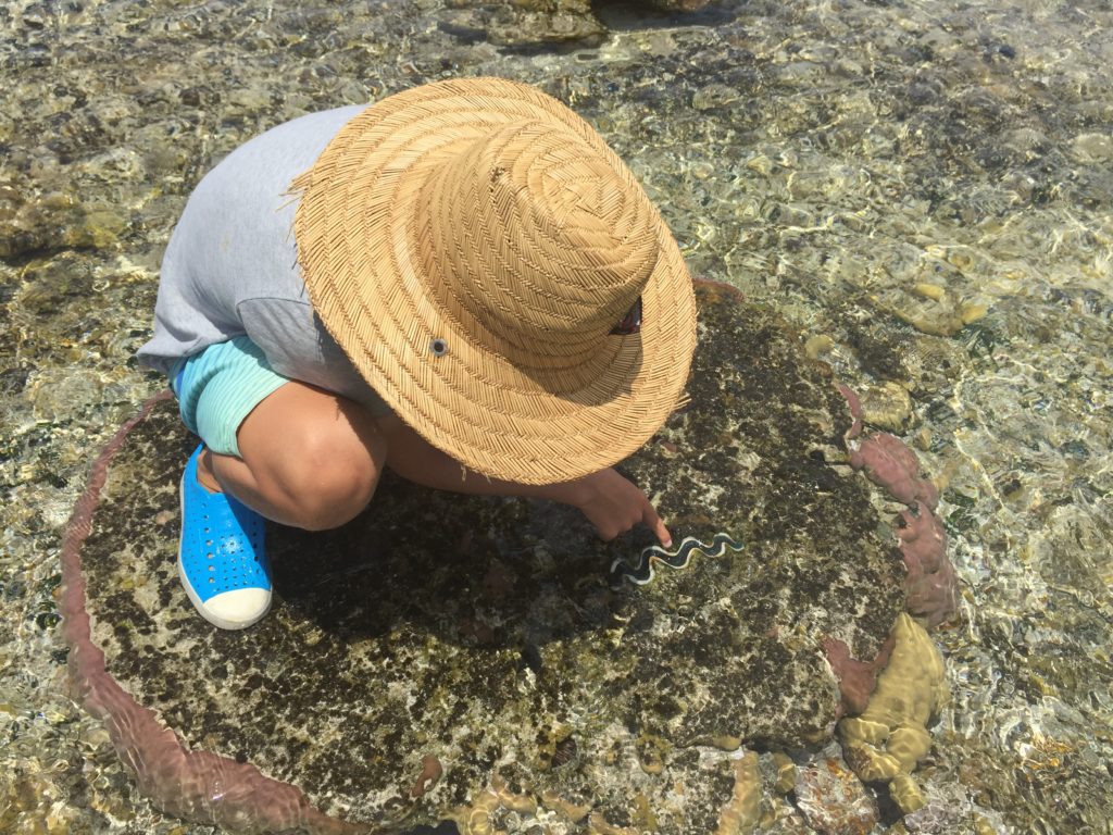 Endless exploring at low tide.