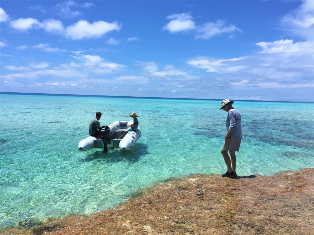 Exploring the reef at lowtide.