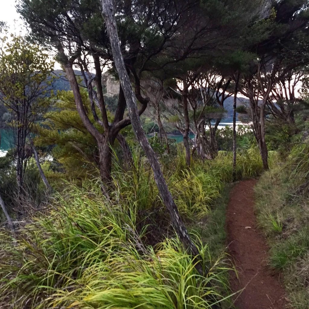 Loved the hiking in Whangaroa.