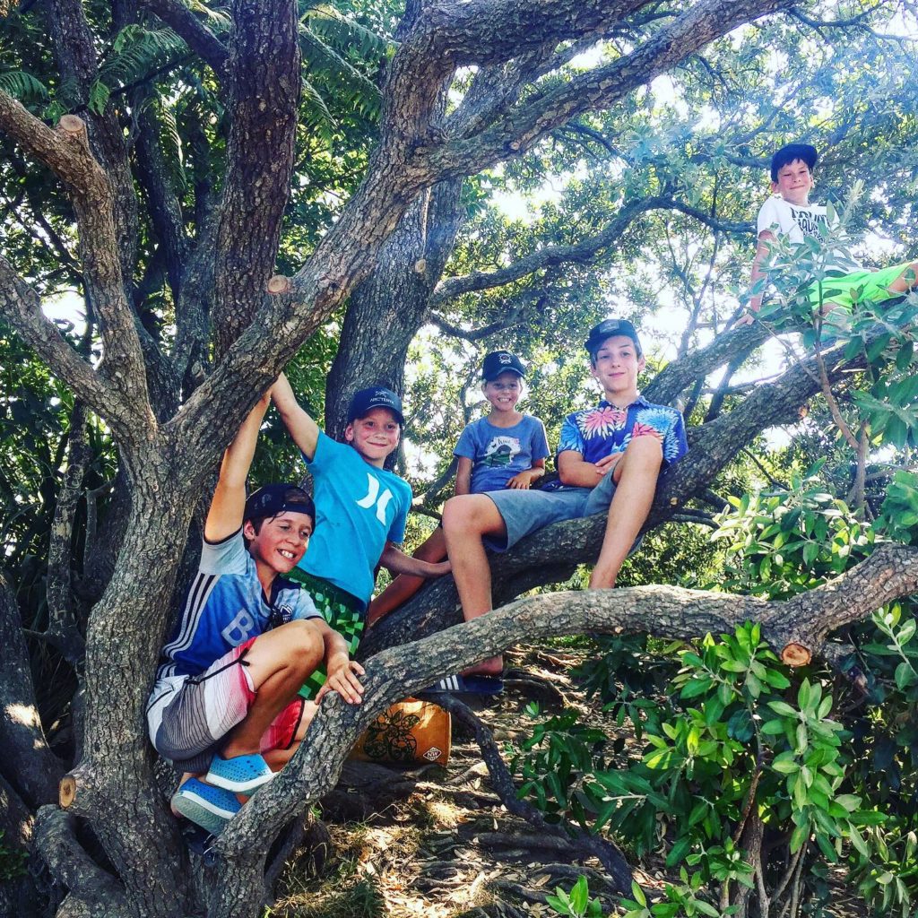 Climbing trees.