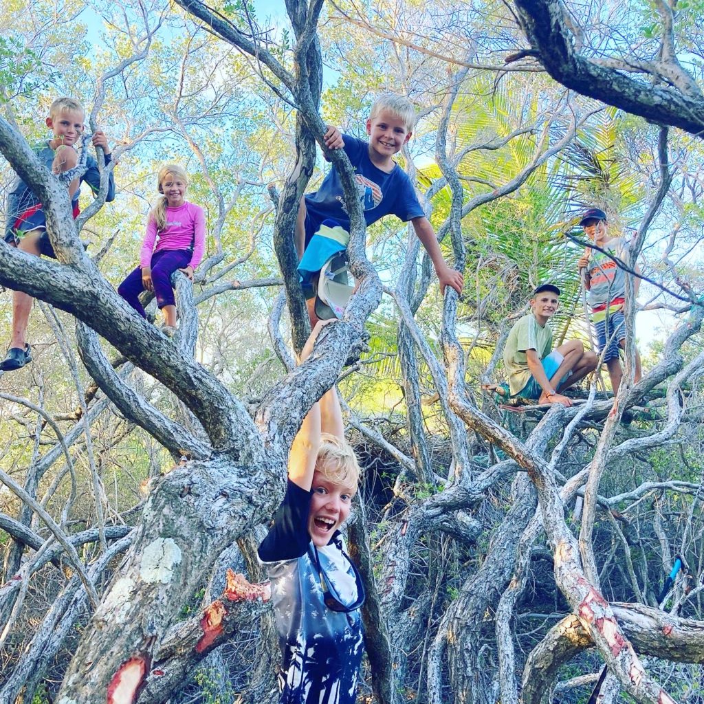 Climbing Trees in Amanu